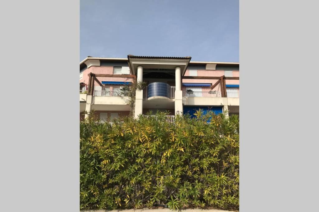 Magnifique Studio A 50M De La Plage De Cavaliere - Studio Tamarindo Le Lavandou Exterior foto